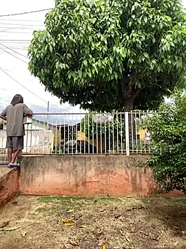 Bruno_Lima_Francisco