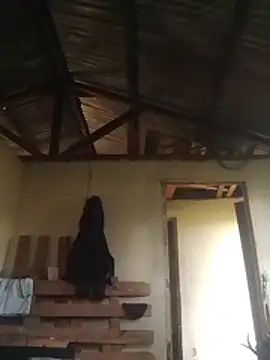 Lluunnaalliigghhtt