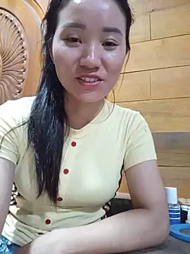 Td3di webcam