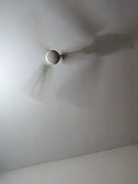 manasa_