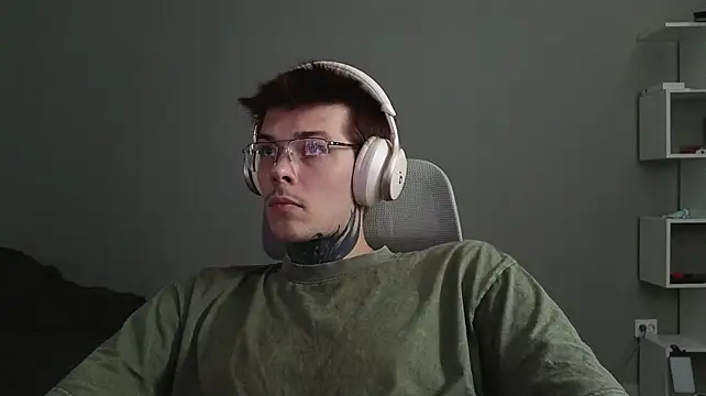 DENIS_HERE webcam