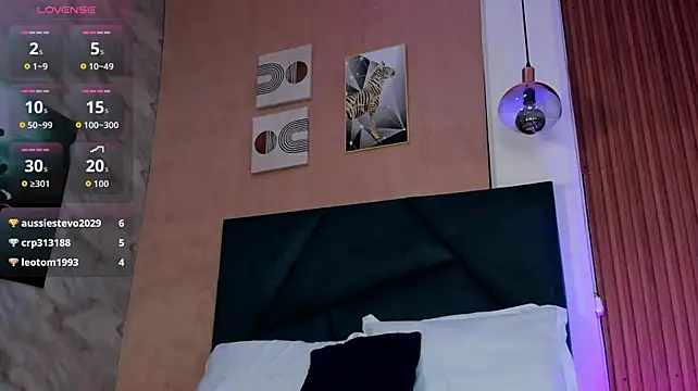 LaurentFerrer webcam