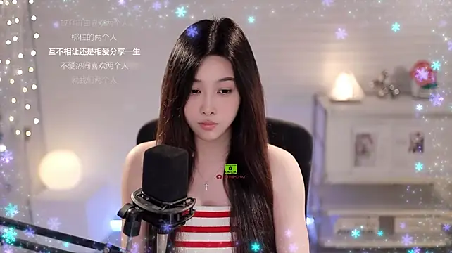 SleepArtist webcam