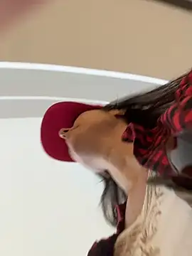 eveangelll