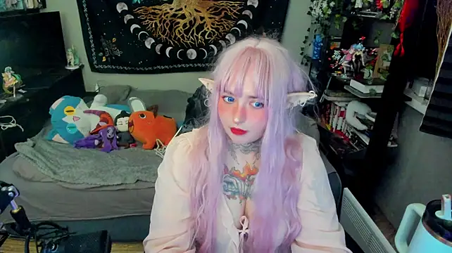 crystal_musee webcam