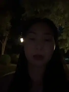 su456711 webcam