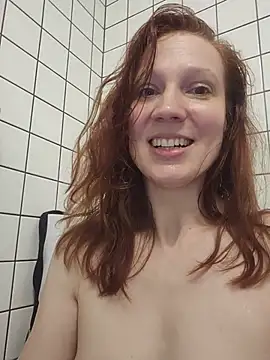 Exhibitionsplit webcam