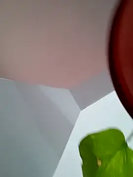 Bradd_32 webcam