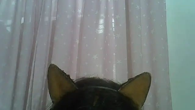 SkinnyKitten webcam