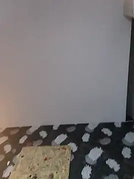 haetsaa webcam