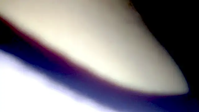 PetiteIvoryQueen19