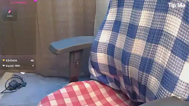 punemodel