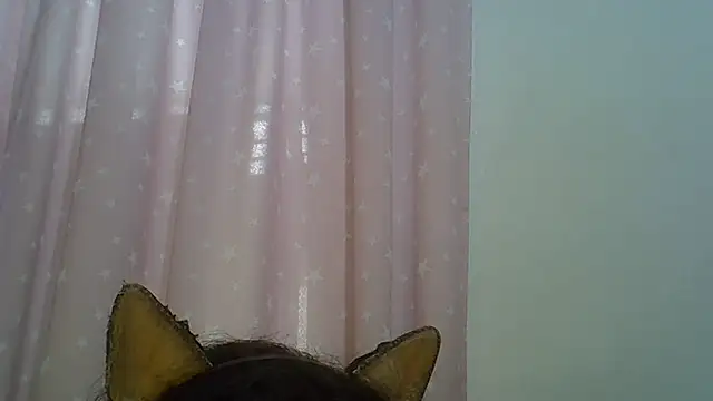 SkinnyKitten webcam