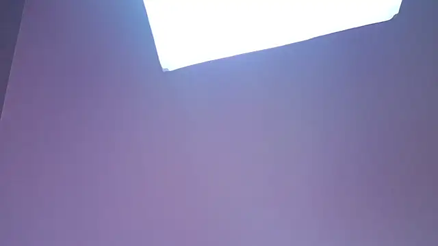 PerryKitty