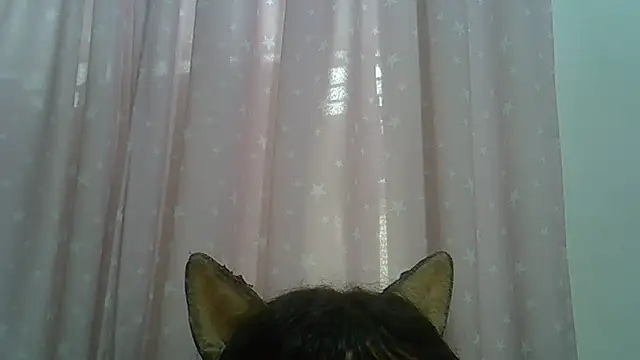 Modelo: SkinnyKitten