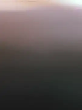soyyoelque4