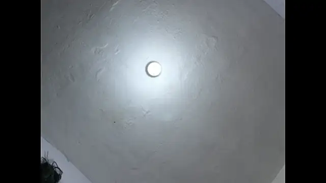 Cataleya_ja