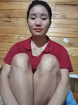 Td3di webcam