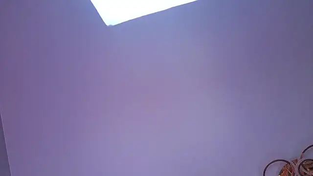 PerryKitty