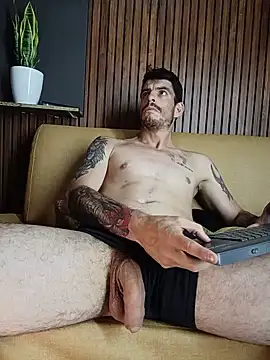 damian_bull