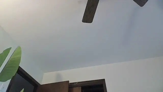 WetFlower69