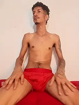 OCamBoy
