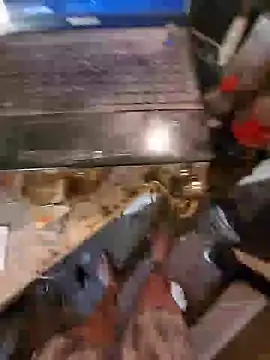amoralall webcam