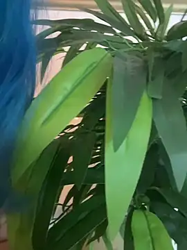 BigBoobsShow_