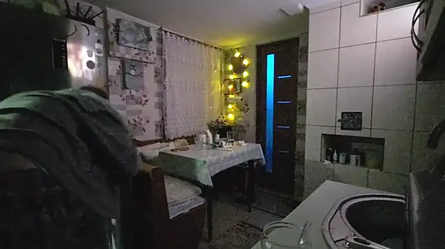 Vuitton webcam