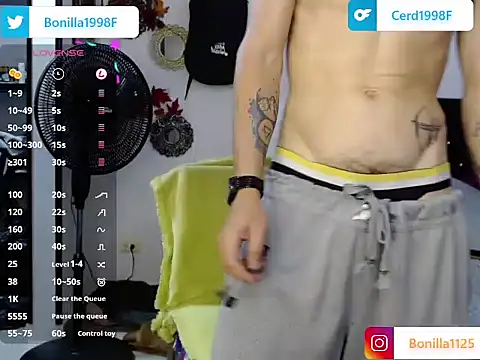 PaleVibes webcam