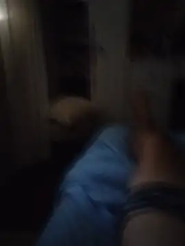 trapisomba webcam
