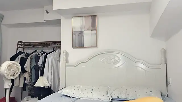 xiaoai798 webcam