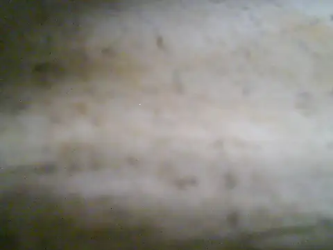 R_jhae-yu webcam