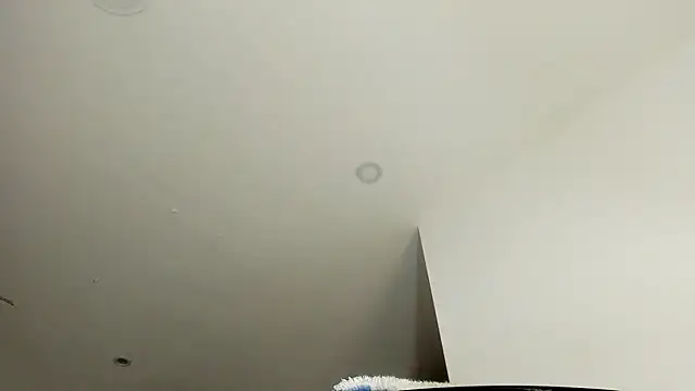 vanesadimaria webcam