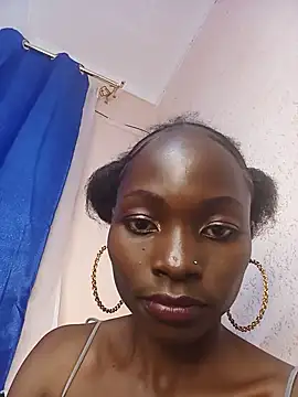 techfel webcam