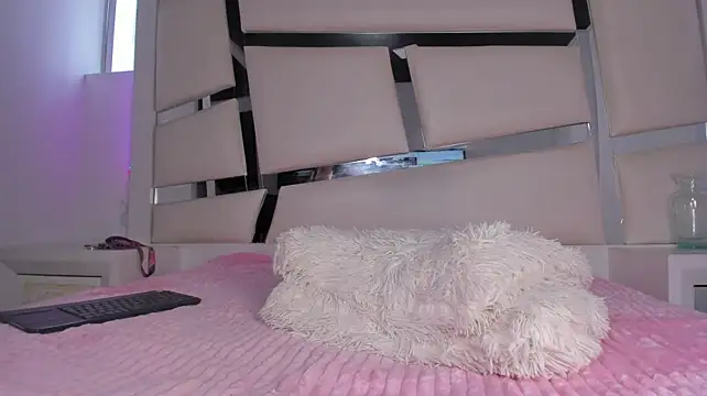 chrystal_js webcam