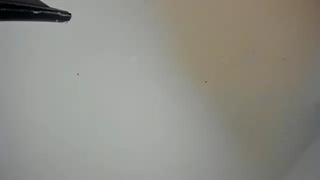 red_moon_2 webcam
