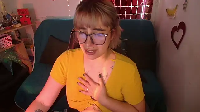 Miacatsito3 webcam