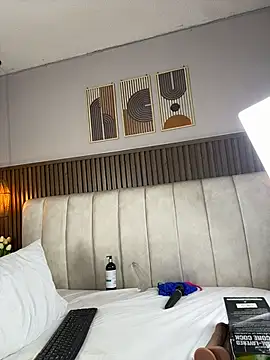Hayami_Li webcam