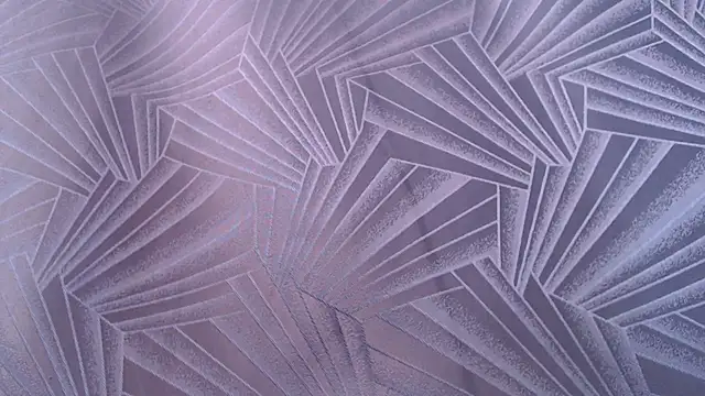Freyja_eter webcam