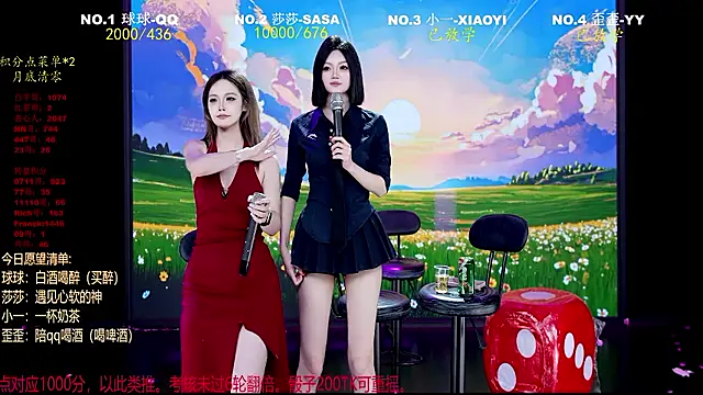 TY-002 webcam