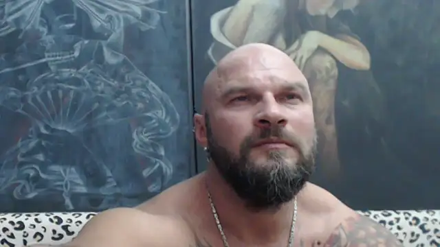 viking_30