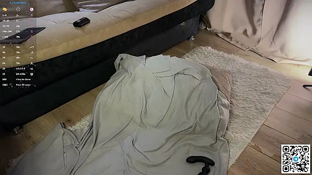 Logan_mett webcam