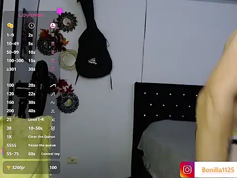 PaleVibes webcam