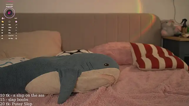 Dallass_ss webcam