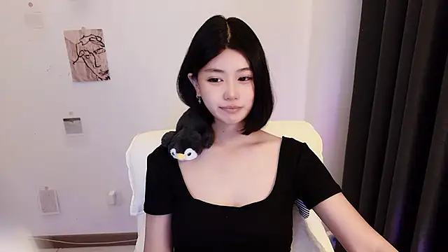 Kitteovo webcam