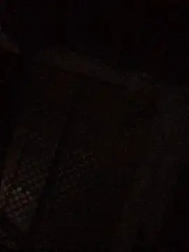 catcum1 webcam
