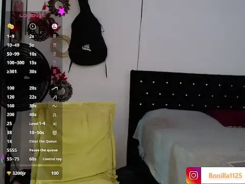 PaleVibes webcam