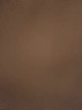 iRusx webcam