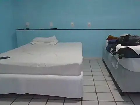 Silvakkfitk webcam